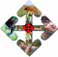 Logo provimi